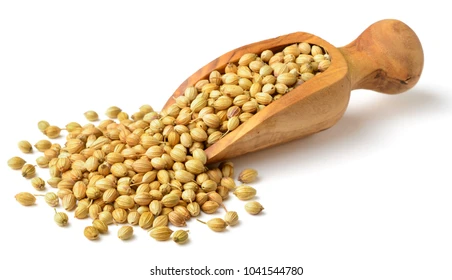 Aromatic Coriander